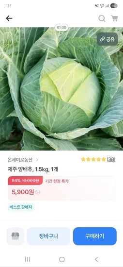 제주 양배추 1.5kg 2개