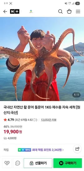 국내 자연산 활돌문어 1kg