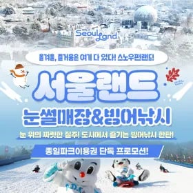 서울랜드 1인 종일 입장권