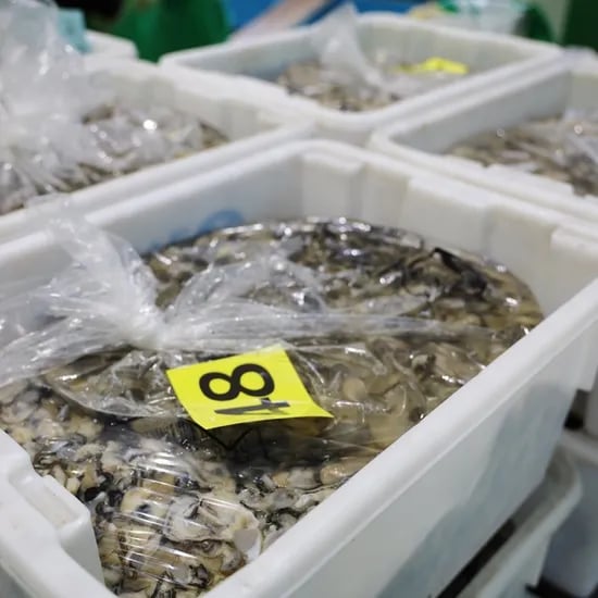통영생굴 1kg