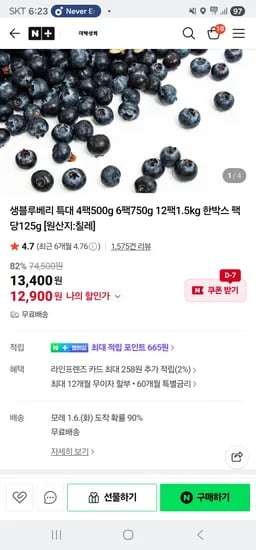 생블루베리 특대 6팩