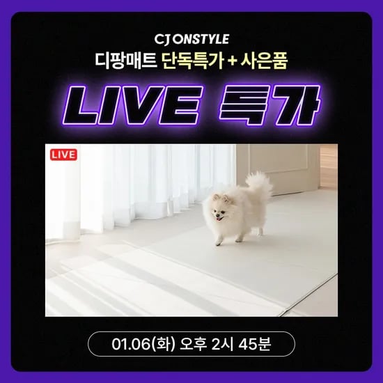 라이브 디팡 매트 1+1 84,550원