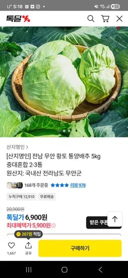 무안 통양배추 5kg 2-3통