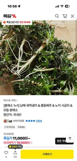국내산 남해 세척냉이 250g 1+1