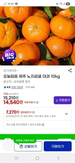 오늘담음 제주 노지감귤 대과 10kg