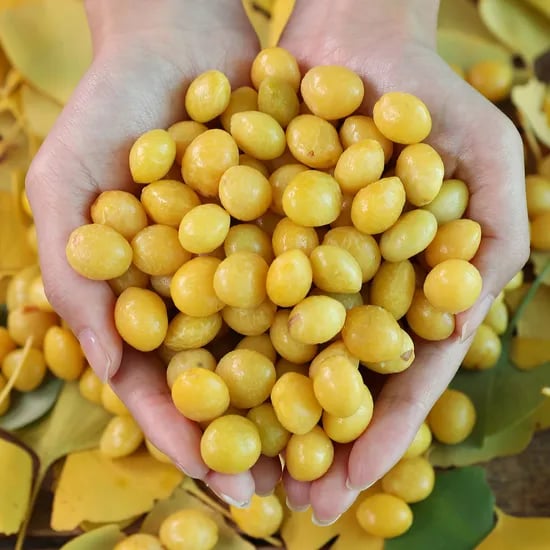 공주 햇 깐 은행 250g