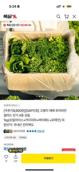유러피안 샐러드 4종 1kg