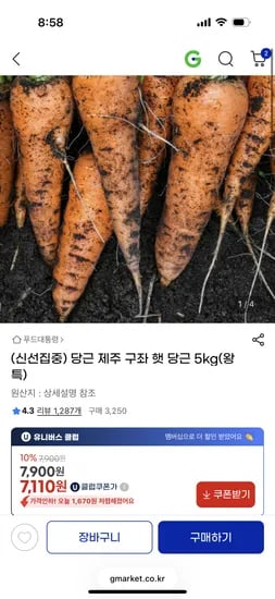 제주 구좌 햇 당근 5kg 왕특