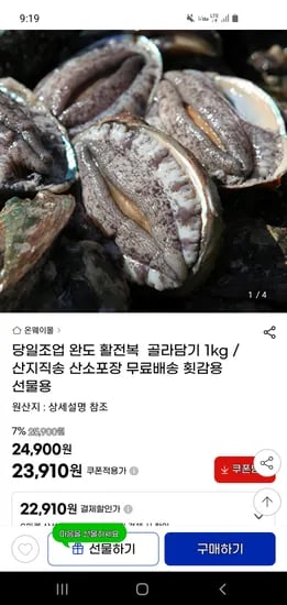 완도 활전복 골라담기 1kg