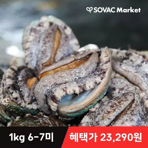 완도 활 전복 1kg 6~7미