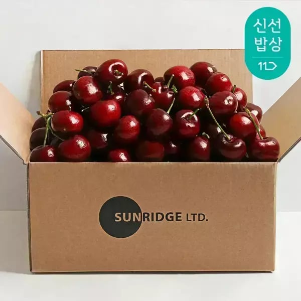 칠레산 생체리 9.5R 특대과 1kg