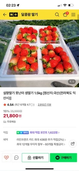 달콤팜 못난이 설향딸기 1.5kg