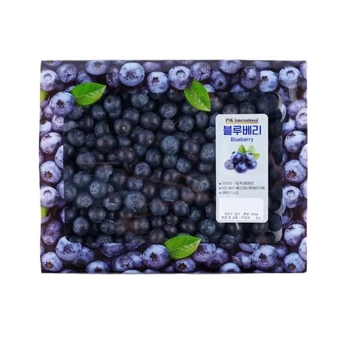칠레산 블루베리 600g 박스
