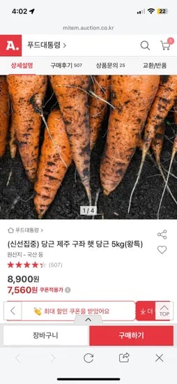 제주 구좌 햇 당근 5kg 왕특