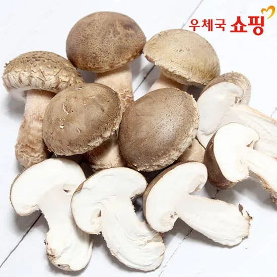 문경 송화고버섯 고기버섯1키로16340원