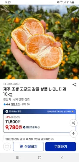 제주 조생 고당도 감귤 L-2L 대과 10kg