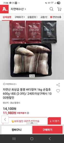 자연산 통영 바다장어 1kg 2-3미