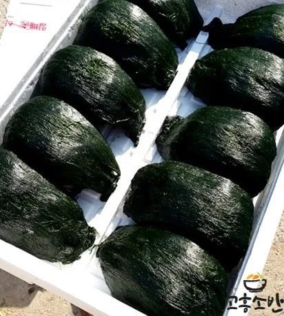 비단 매생이 개별진공포장 350g 10개