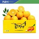제주산 귤로장생 황금향 4kg 중소과
