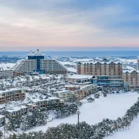 울산 소노 델피노
