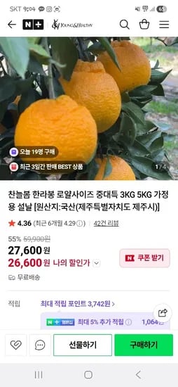 와이치 제주 한라봉 5kg 로얄과