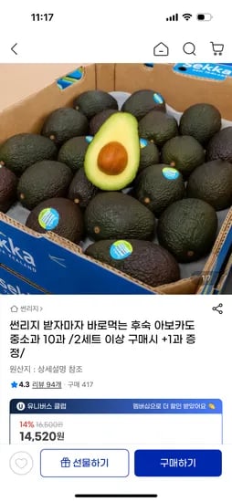 후숙 아보카도 중소과 10개