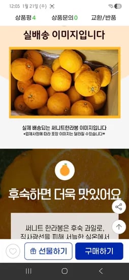 13브릭스이상 제주 써니트 하우스 한라봉 3.5kg