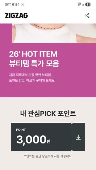 삐아 듀얼치크