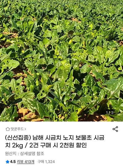 남해 시금치 보물초 1kg