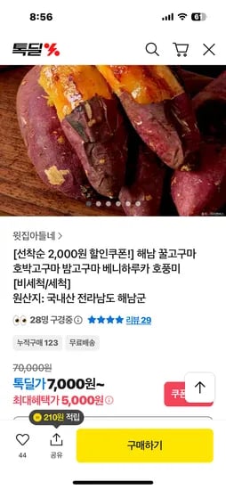 베니하루카 꿀고구마 2kg