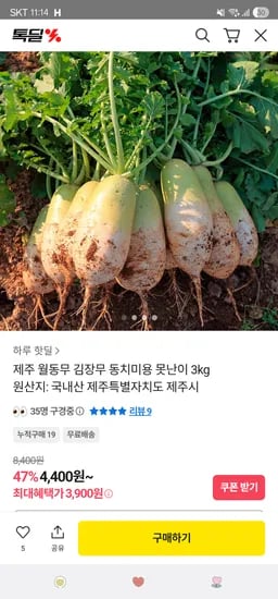 제주 월동무 김장무 동치미용 못난이 3kg