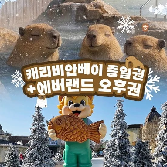 캐리비안베이 종일권+에버랜드 오후 입장권 26,000원