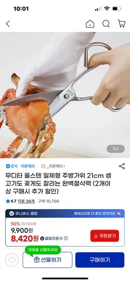 올스텐 일체형 주방가위 21cm