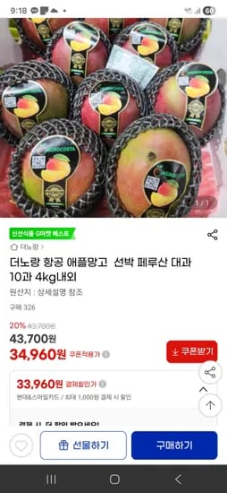 애플망고 페루산 대과 10과 4kg