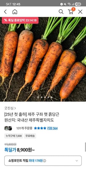 제주 구좌 햇 흙당근 중 5kg