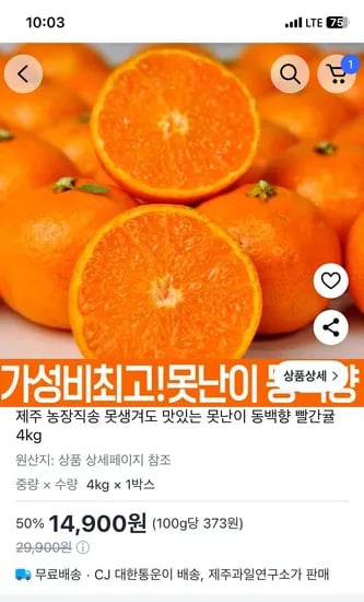 제주 못난이 동백향 빨간귤 4kg