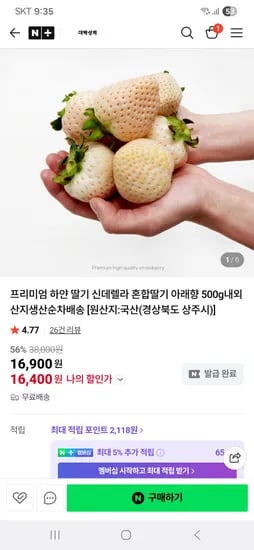 신델렐라 혼합딸기 500g