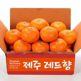 12Brix 서귀포 레드향 4kg 소과