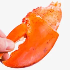 랍스터 너클 집게발 900g