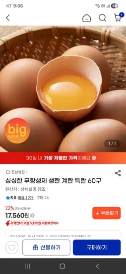 싱싱한 무항생제 생란 계란 특란 60구 17,560원 무배