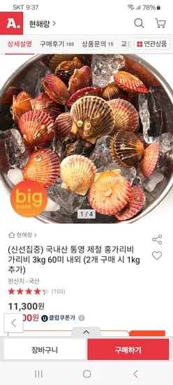 국내산 통영 제철 홍가리비 3kg 9,940원 무배