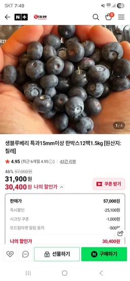 또드림마켓 생블루베리 특과15mm이상 125g×12팩1.5kg 31,400원