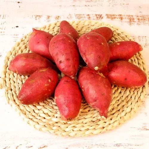 해남 특품 꿀고구마 특상 3kg 9,450원 무배