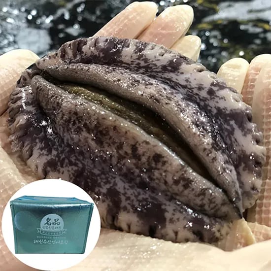산소포장 싱싱한 완도활전복 특특대 6~8미 1kg 15,300원