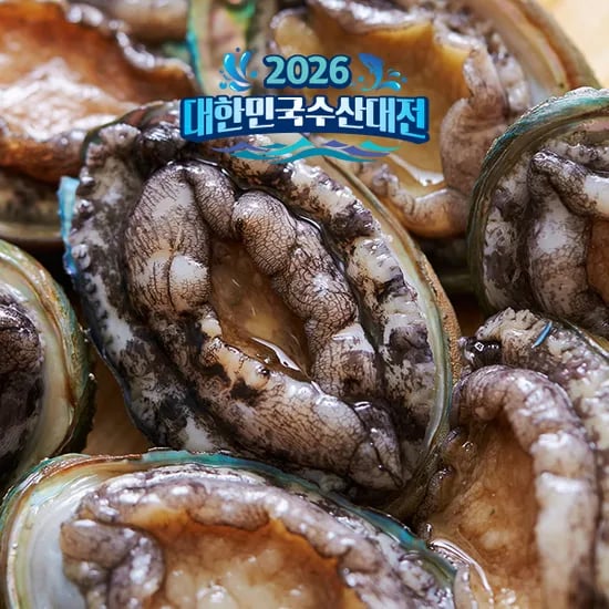 산지직송 완도 활전복 1KG 18~20미, 22,720원(무배)
