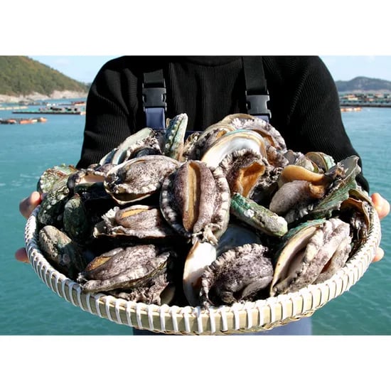 프리미엄 활전복 5-6미 1kg 22,680원