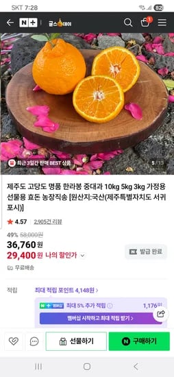 귤스데이 제주도 고당도 한라봉 중대과 5kg