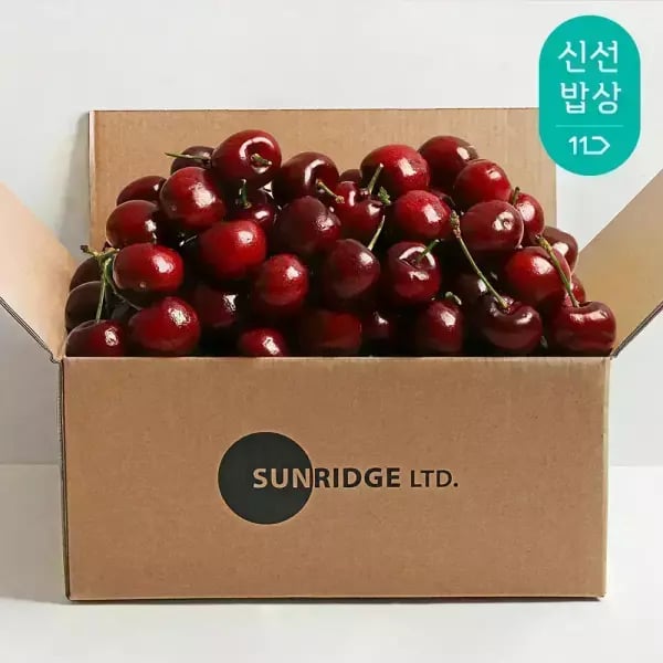 칠레산 생체리 9R 점보사이즈 1kg