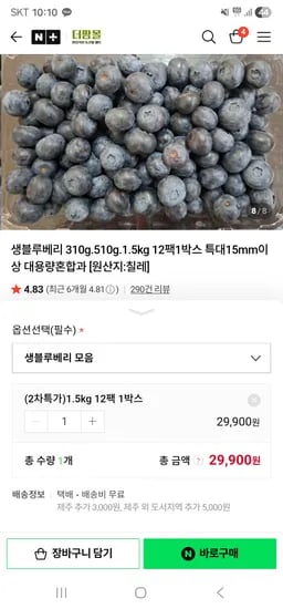 생블루베리 125g 12팩 1.5kg