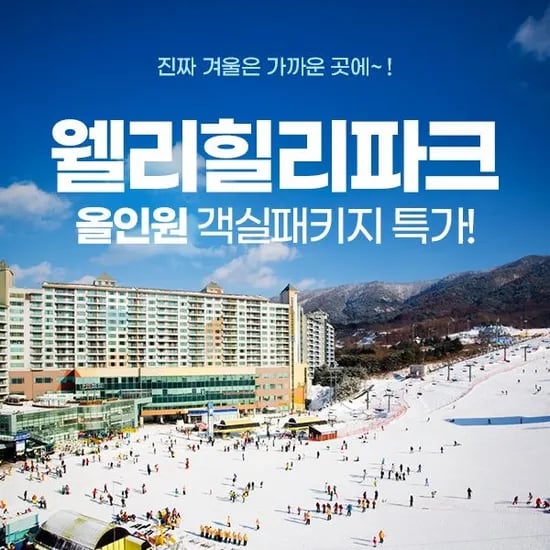 강원 웰리힐리파크 주중 룸온리 스탠다드A형
